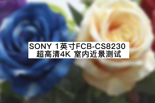 超高清4K 12倍光學(xué)室內(nèi)近景測(cè)試